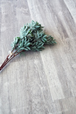 Кварц виниловая плитка Alpine floor Easy Line ECO 3-19 Дуб Полярный 2,245м2\уп.