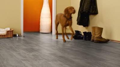 Ламинат Kronotex Exquisit D4786 Дуб Гала серый с фаской 2,131 м2\уп.