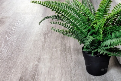 Кварц виниловая плитка Alpine floor Classic ECO 134-5 Ясень Серый