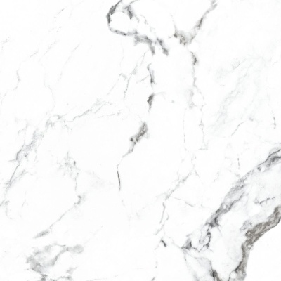 Керамогранит Arcadia Ceramica BORGHINI SILVER 60х60 CR