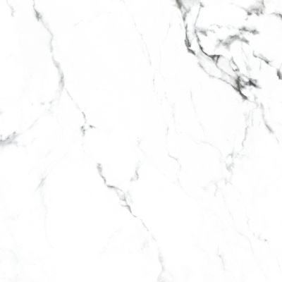 Керамогранит Arcadia Ceramica BORGHINI SILVER 60х60 CR