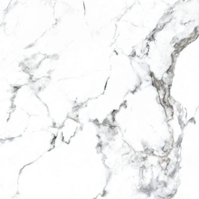 Керамогранит Arcadia Ceramica BORGHINI SILVER 60х60 CR