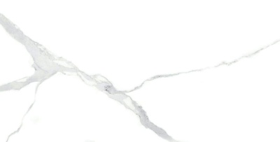 Керамогранит Arcadia Ceramica NUVO STATUARIO 60х120 FP