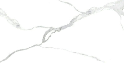 Керамогранит Arcadia Ceramica NUVO STATUARIO 60х120 FP