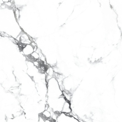 Керамогранит Arcadia Ceramica BORGHINI SILVER 60х60 CR