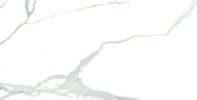 Керамогранит Arcadia Ceramica NUVO STATUARIO 60х120 FP