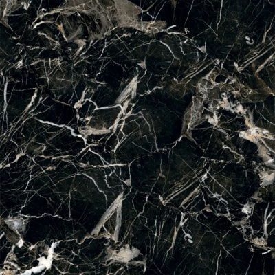 Керамогранит Arcadia Ceramica GOLDEN BLACK 60х60 HG