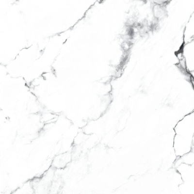 Керамогранит Arcadia Ceramica BORGHINI SILVER 60х60 CR