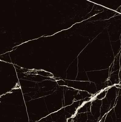 Керамогранит Arcadia Ceramica BLACK SPINDER 60х60 HG