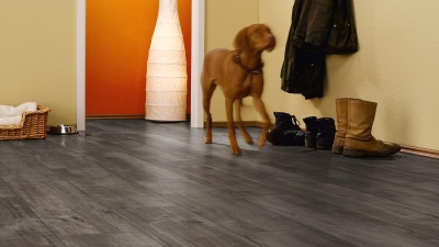 Ламинат Kronotex Exquisit Plus D4785 Дуб Гала титан с фаской 2,694 м2\уп.