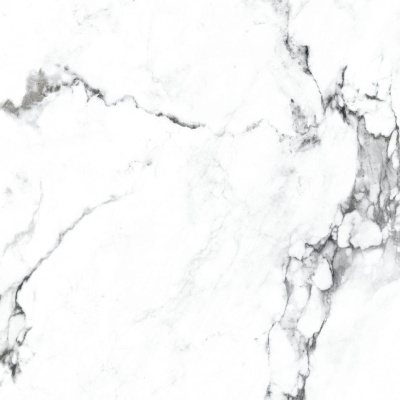 Керамогранит Arcadia Ceramica BORGHINI SILVER 60х60 CR