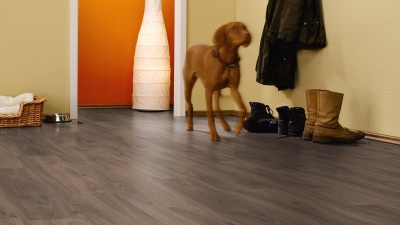 Ламинат Kronotex Dynamic Plus D4757 Орех Палаццо 2,131 м2\уп.