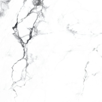 Керамогранит Arcadia Ceramica BORGHINI SILVER 60х60 CR