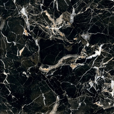 Керамогранит Arcadia Ceramica GOLDEN BLACK 60х60 HG