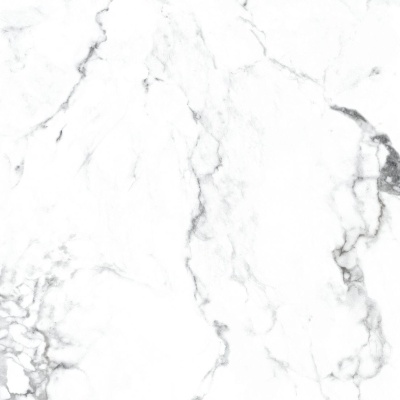 Керамогранит Arcadia Ceramica BORGHINI SILVER 60х60 CR