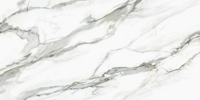 Керамогранит Delacora Omega Silver 600x1200