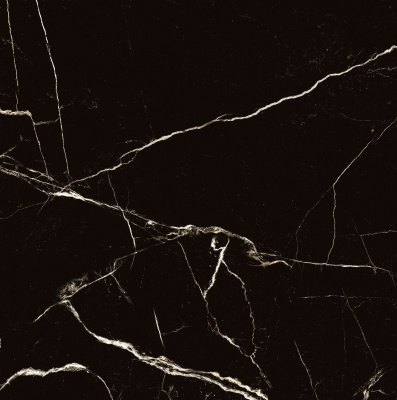 Керамогранит Arcadia Ceramica BLACK SPINDER 60х60 HG