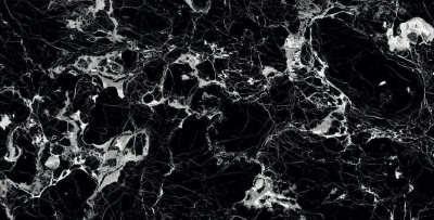 Керамогранит Arcadia Ceramica ELEGANT NERO 60х120 HG - изображение 3