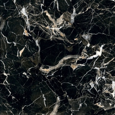 Керамогранит Arcadia Ceramica GOLDEN BLACK 60х60 HG - изображение 1