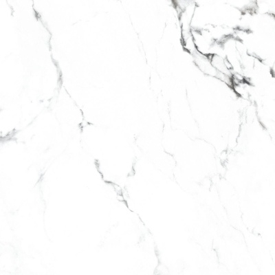 Керамогранит Arcadia Ceramica BORGHINI SILVER 60х60 CR - изображение 14