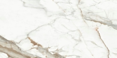 Керамогранит Delacora Calacatta Premium 600x1200 - изображение 9