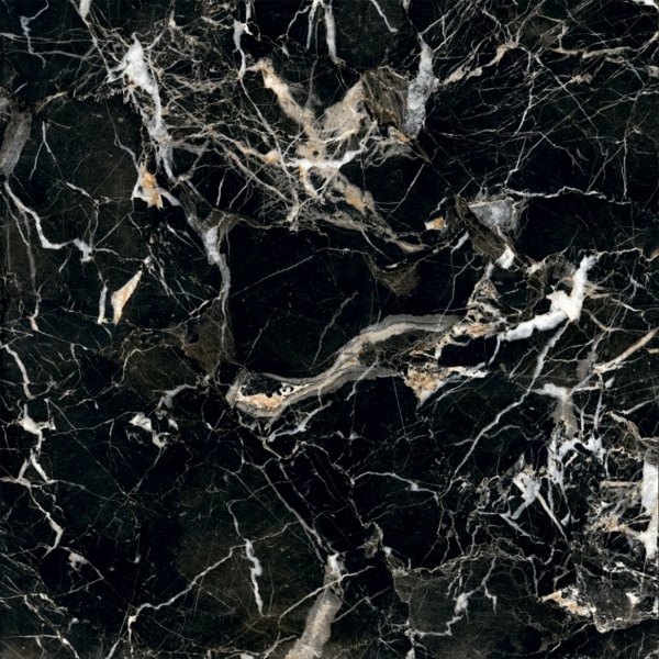Керамогранит Arcadia Ceramica GOLDEN BLACK 60х60 HG Керамогранит Arcadia Ceramica GOLDEN BLACK 60х60 HG