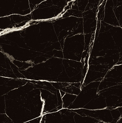 Керамогранит Arcadia Ceramica BLACK SPINDER 60х60 HG - изображение 8