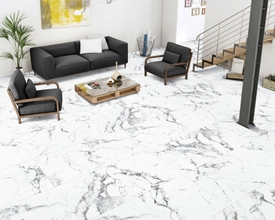 Керамогранит Arcadia Ceramica BORGHINI SILVER 60х60 CR - изображение 3