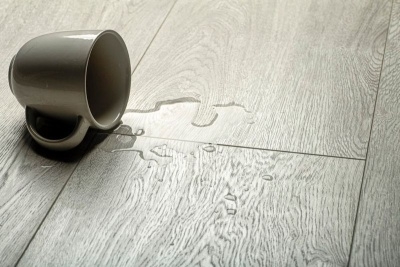 Ламинат Kronopol  Aurum Fiori D4586 Orchidea Oak (Дуб Орхидея) 10/33 с фаской - изображение 1