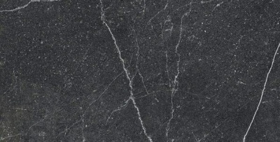 Керамогранит Arcadia Ceramica EQUISTONE CHARCOL 60х120 RG - изображение 4