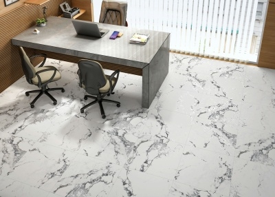 Керамогранит Arcadia Ceramica BORGHINI SILVER 60х60 CR - изображение 2