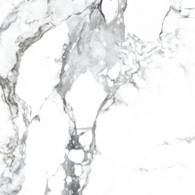 Керамогранит Arcadia Ceramica BORGHINI SILVER 60х60 CR - изображение 1