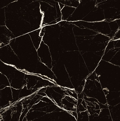 Керамогранит Arcadia Ceramica BLACK SPINDER 60х60 HG - изображение 7