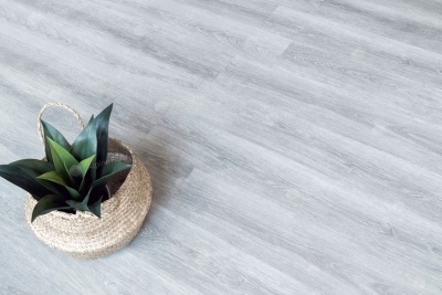 Кварц виниловая плитка Alpine floor Easy Line ECO 3-26 Дуб Туманный 2,245м2\уп. - изображение 3